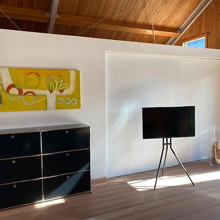 Ferienhaus Sonnenchalet Bodman-Ludwigshafen Εξωτερικό φωτογραφία
